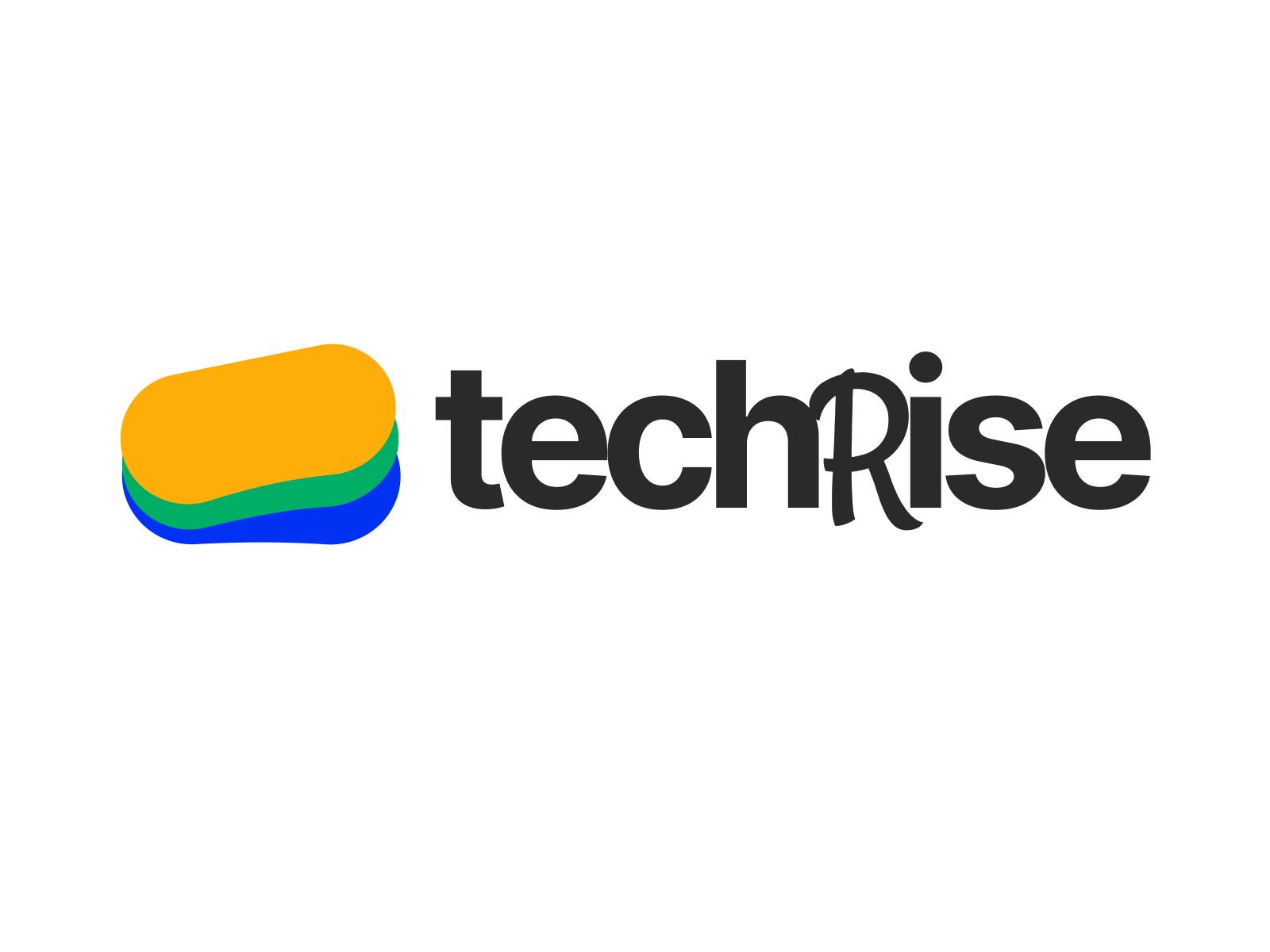 TechRise DTI Logo